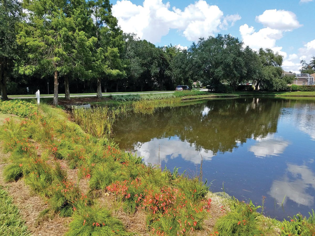 This picture is of a stormwater pond.